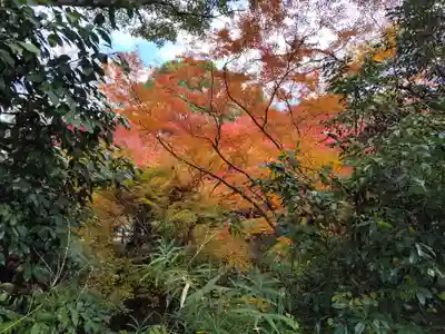 根来寺(和歌山県)
