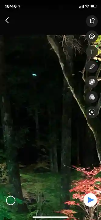 尊永寺の手水舎