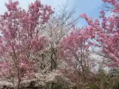 賀茂別雷神社（上賀茂神社）の自然