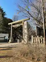 浅草神社の鳥居