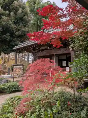 妙法寺(東京都)