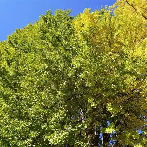 熊野福藏神社の景色