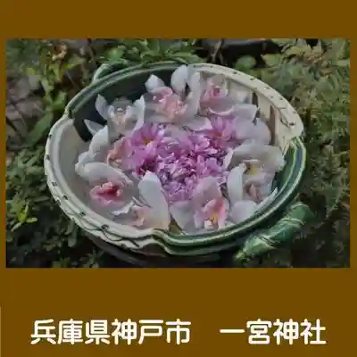 一宮神社の手水舎