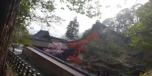 出雲大神宮の本殿・本堂