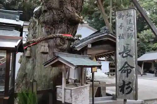 極楽寺の建物その他