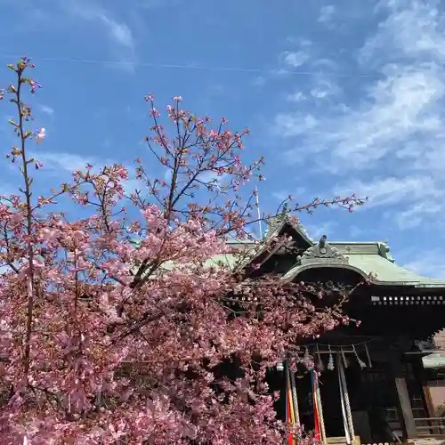 桜神宮(東京都)