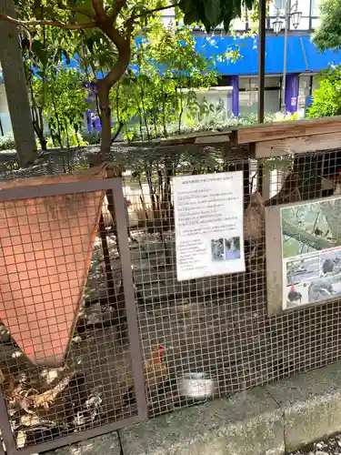 高知大神宮のその他建物