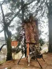 若宮八幡神社の自然