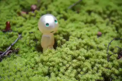 尻岸内八幡神社の自然