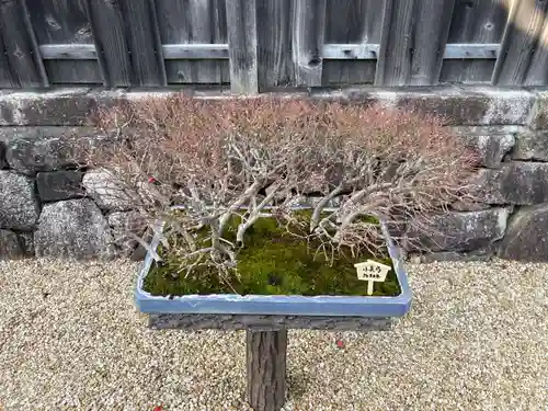 龍泉庵(京都府)