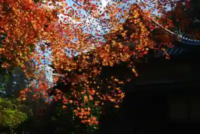 八幡宮(山口県)