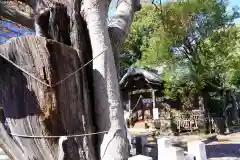 阿邪訶根神社の建物その他