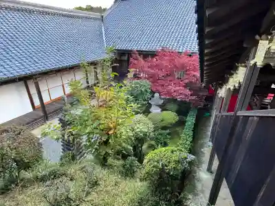 光明寺（粟生光明寺）(京都府)
