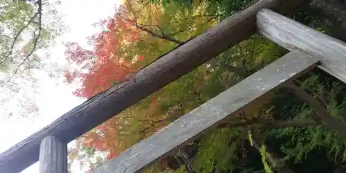 出雲大神宮のその他建物