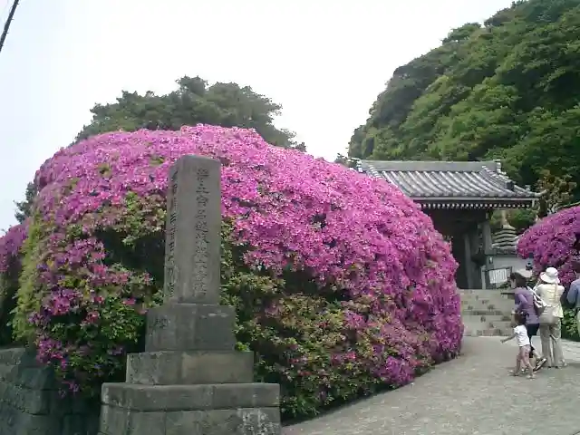 安養院 (田代寺)のその他建物
