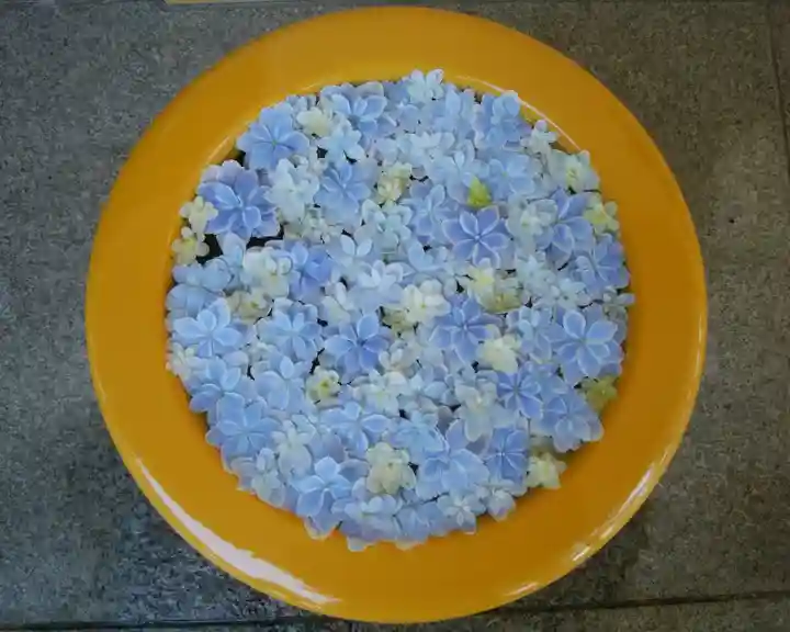 帯廣神社の手水舎