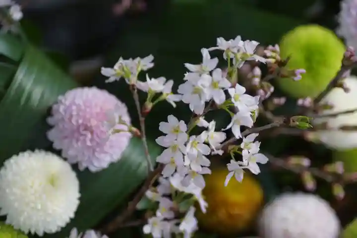 東海市熊野神社の手水舎