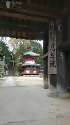 慈尊院の山門・神門