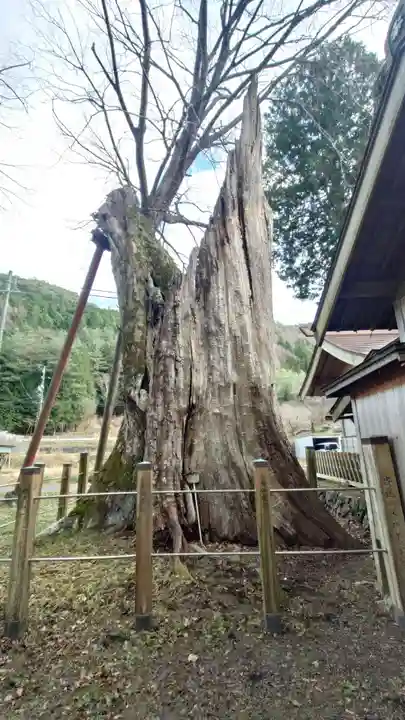 旗挙八幡宮(長野県)