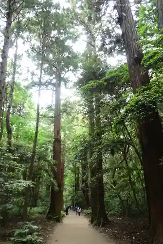 奥宮(鹿島神宮摂社)(茨城県)