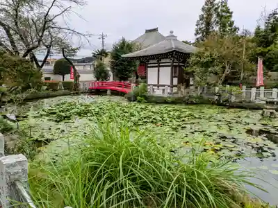 圓照寺(埼玉県)