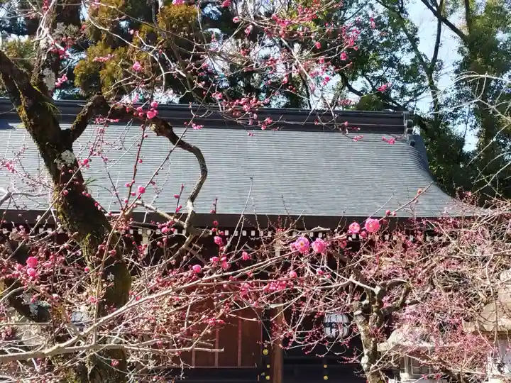 北野天満宮(京都府)