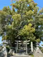 玉田神社の自然