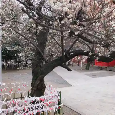 花園神社のその他建物