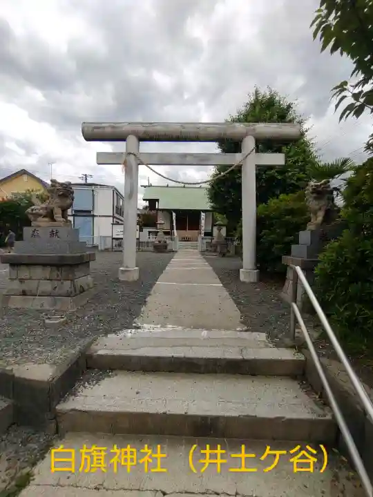 白幡神社(神奈川県)