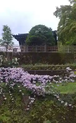 観音寺(栃木県)