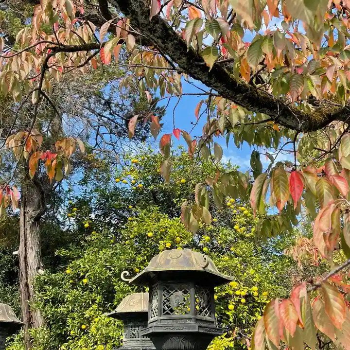 上野東照宮(東京都)