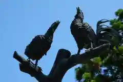 闘鶏神社の建物その他