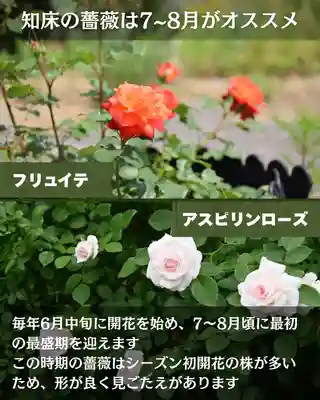 宝光寺(北海道)