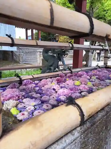 津島神社(愛知県)