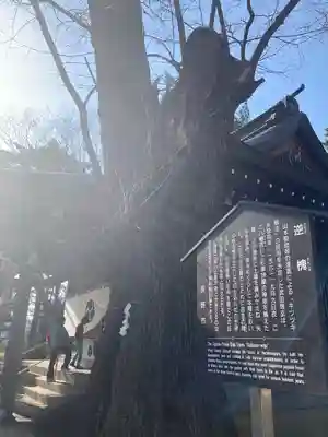 川中島古戦場八幡社(長野県)