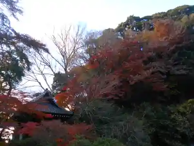 妙本寺のその他建物