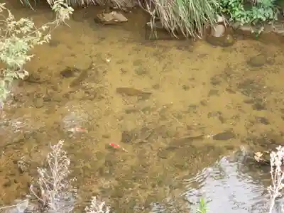 上堂神社(石川県)