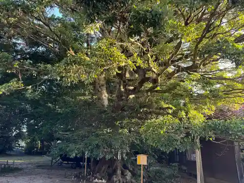 阿太加夜神社(島根県)