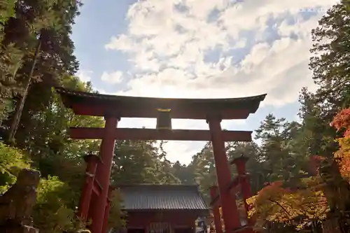 北口本宮冨士浅間神社の鳥居