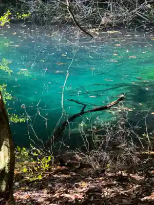 丸池神社(山形県)