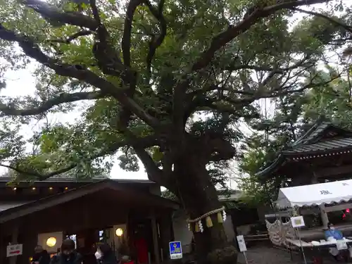 座間神社の自然