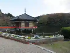 安倍文殊院 の建物その他