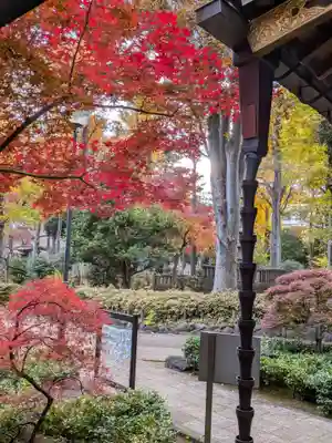 妙法寺(東京都)