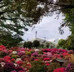 根津神社の自然