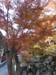 覚園寺の自然