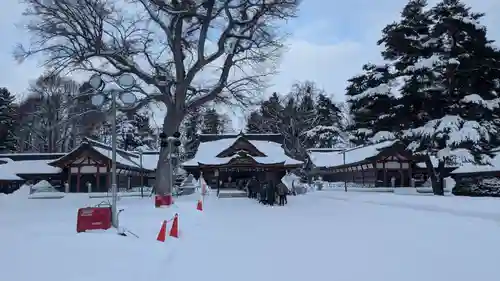 北海道護國神社の初詣