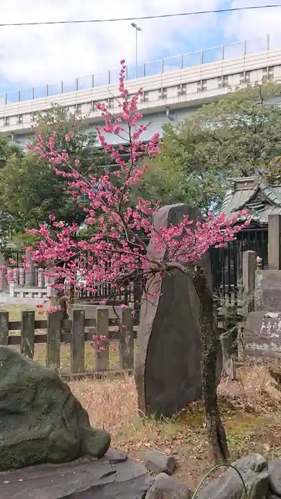 三囲神社の庭園