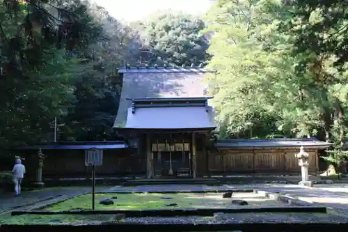 若狭彦神社（上社）の本殿