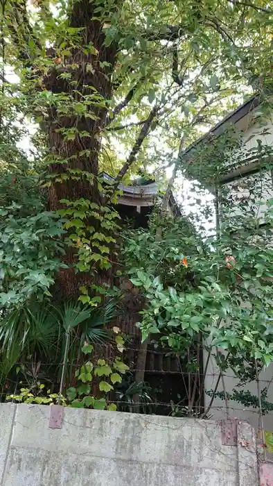 住吉神社の建物その他