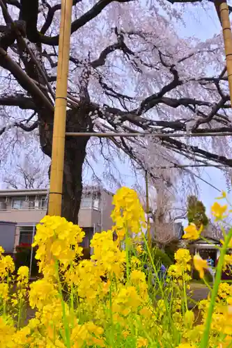 栗谷須賀神社(神奈川県)